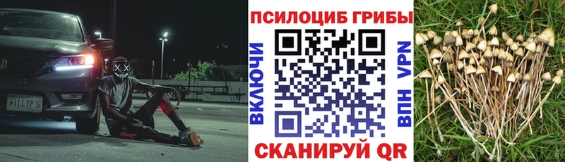 Галлюциногенные грибы Psilocybine cubensis  Чусовой 