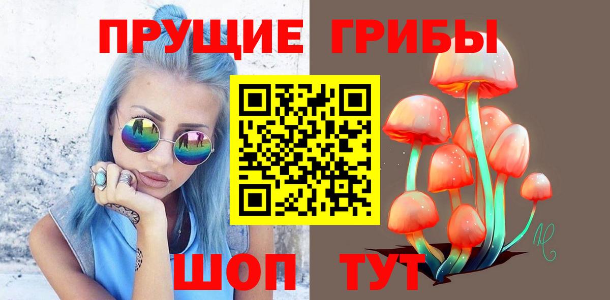 Чусовой  Псилоцибиновые грибы Psilocybe  Вход с VPN 